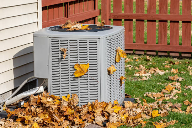 Best HVAC cleaning services  in Meadow Woods, FL